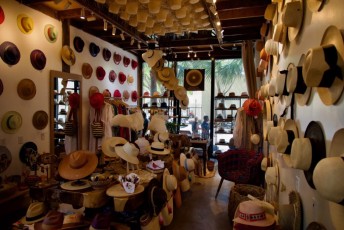 upper-buena-vista-miami-5260