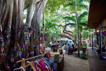 upper-buena-vista-miami-5261