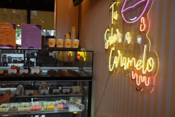 upper-buena-vista-miami-5266