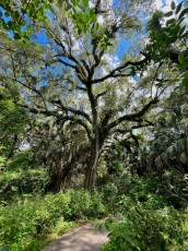 long-key-natural-area-davie-floride-2642