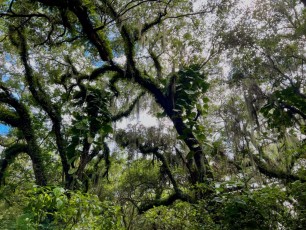 long-key-natural-area-davie-floride-2644
