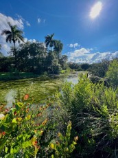 long-key-natural-area-davie-floride-2654