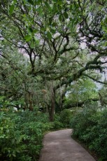long-key-natural-area-davie-floride-6319