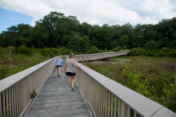 long-key-natural-area-davie-floride-6362