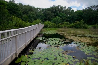 long-key-natural-area-davie-floride-6371