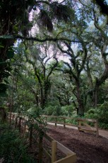 long-key-natural-area-davie-floride-6448