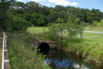 long-key-natural-area-davie-floride-6463