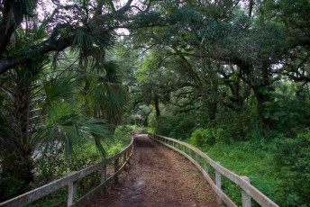 long-key-natural-area-davie-floride-6500