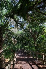 long-key-natural-area-davie-floride-6567
