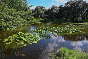 long-key-natural-area-davie-floride-6576