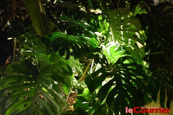 musimelange-juin-2023-Miami6973