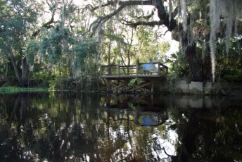 Blue-Spring-State-Park-Floride-4197