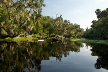 Blue-Spring-State-Park-Floride-4198