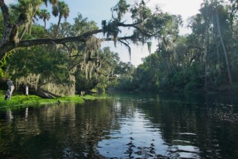 Blue-Spring-State-Park-Floride-4203