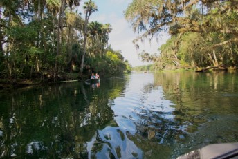 Blue-Spring-State-Park-Floride-4216