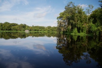Blue-Spring-State-Park-Floride-4383