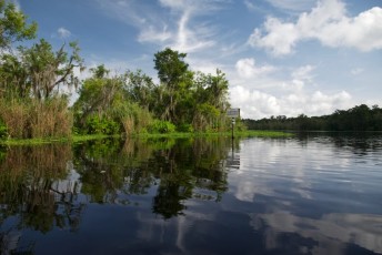 Blue-Spring-State-Park-Floride-4434