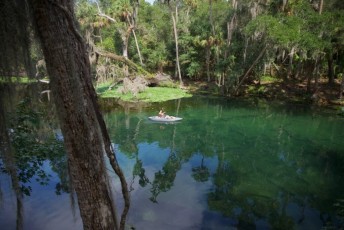 Blue-Spring-State-Park-Floride-4559