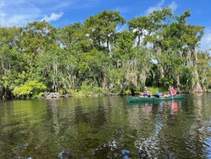 Blue-Spring-State-Park-source-Floride-5691