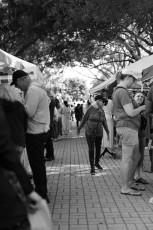 marche-de-noel-2024-miami-key-biscayne-8817