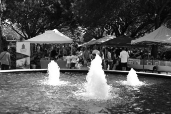 marche-de-noel-2024-miami-key-biscayne-8904