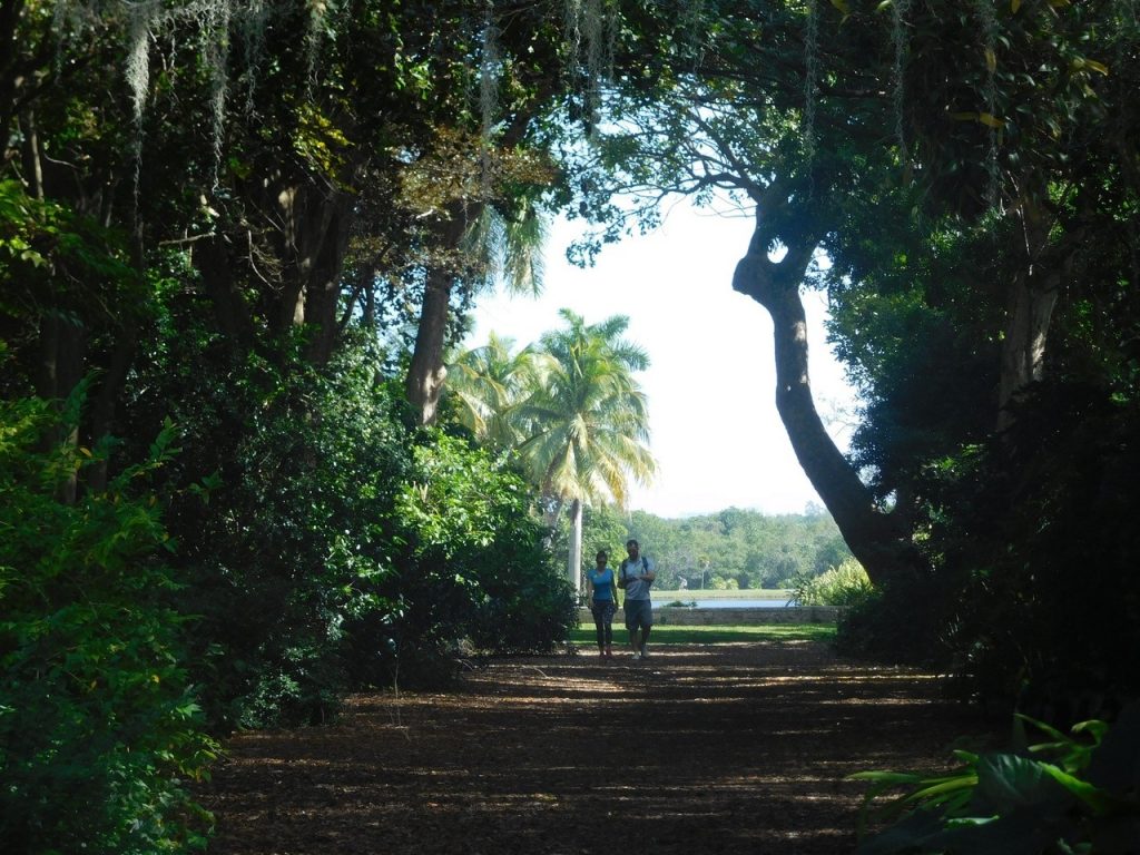 Fairchild Tropical Garden - Miami - Floride