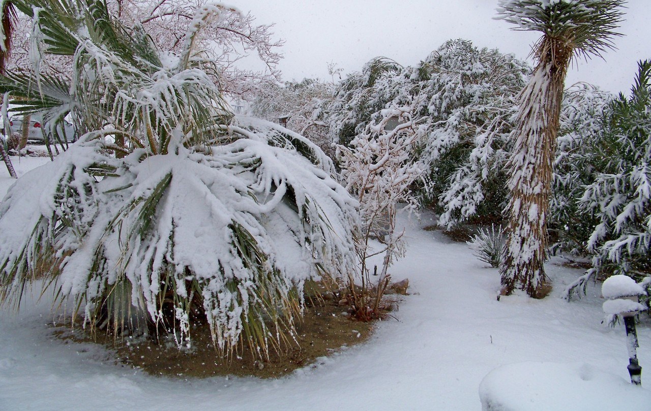 Neige Miami Floride
