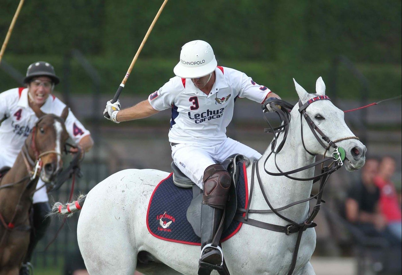 Match de polo à Wellington