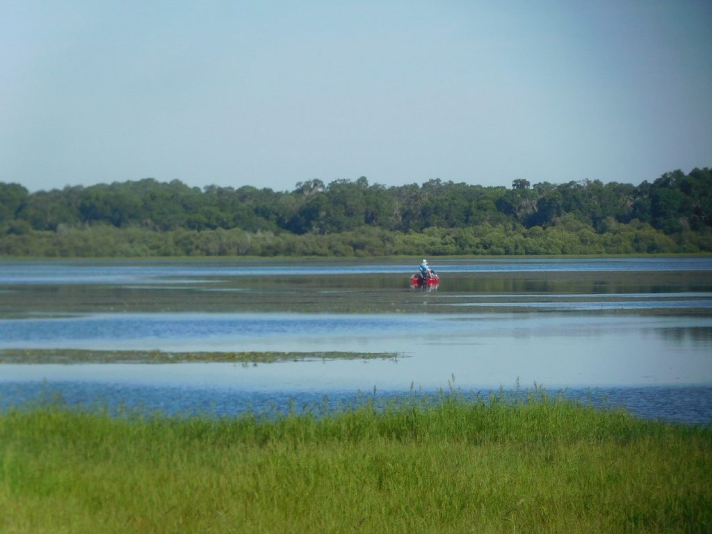 Myakka River State Park / Sarasota / Floride