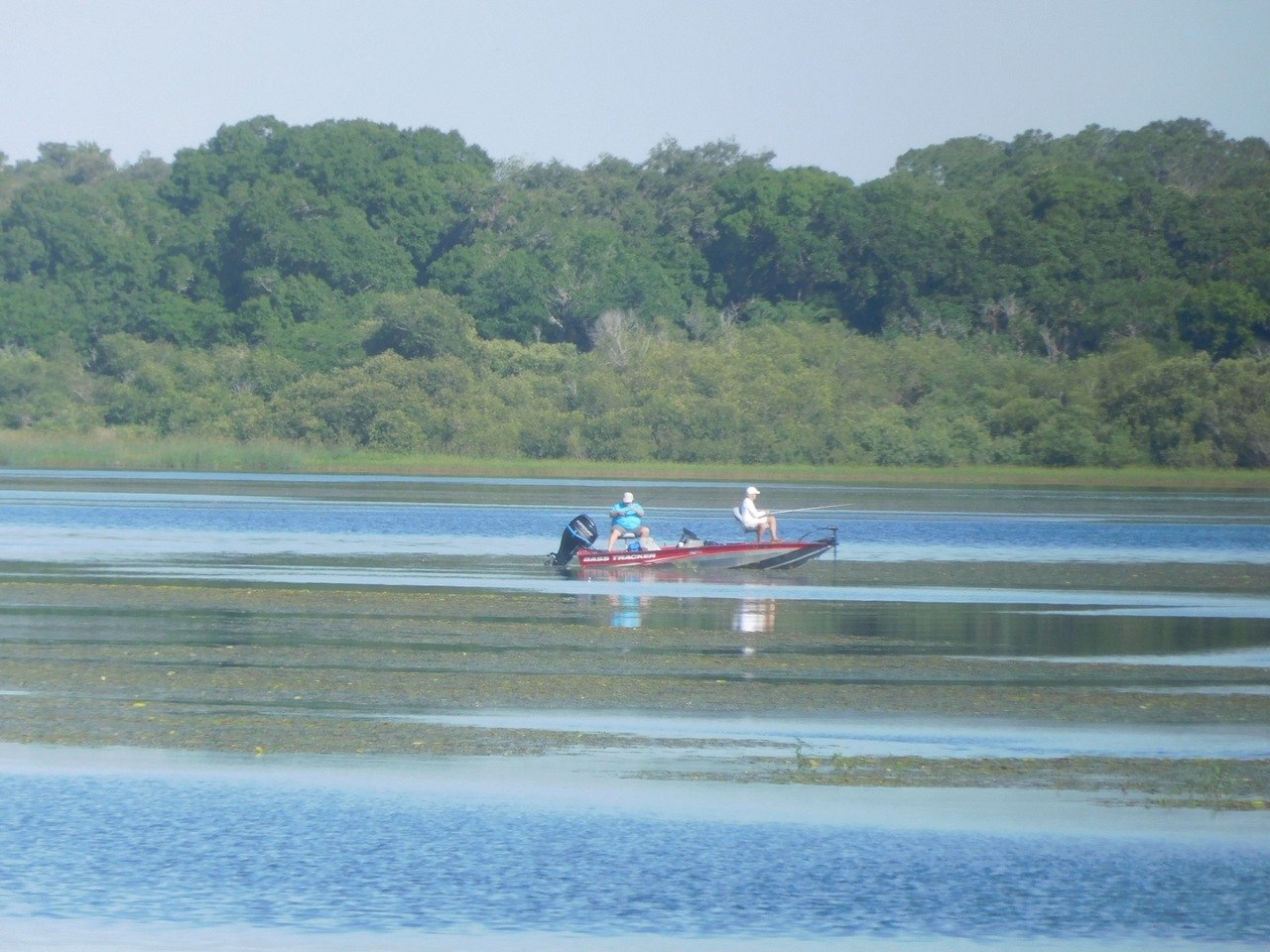 Myakka River State Park / Sarasota / Floride
