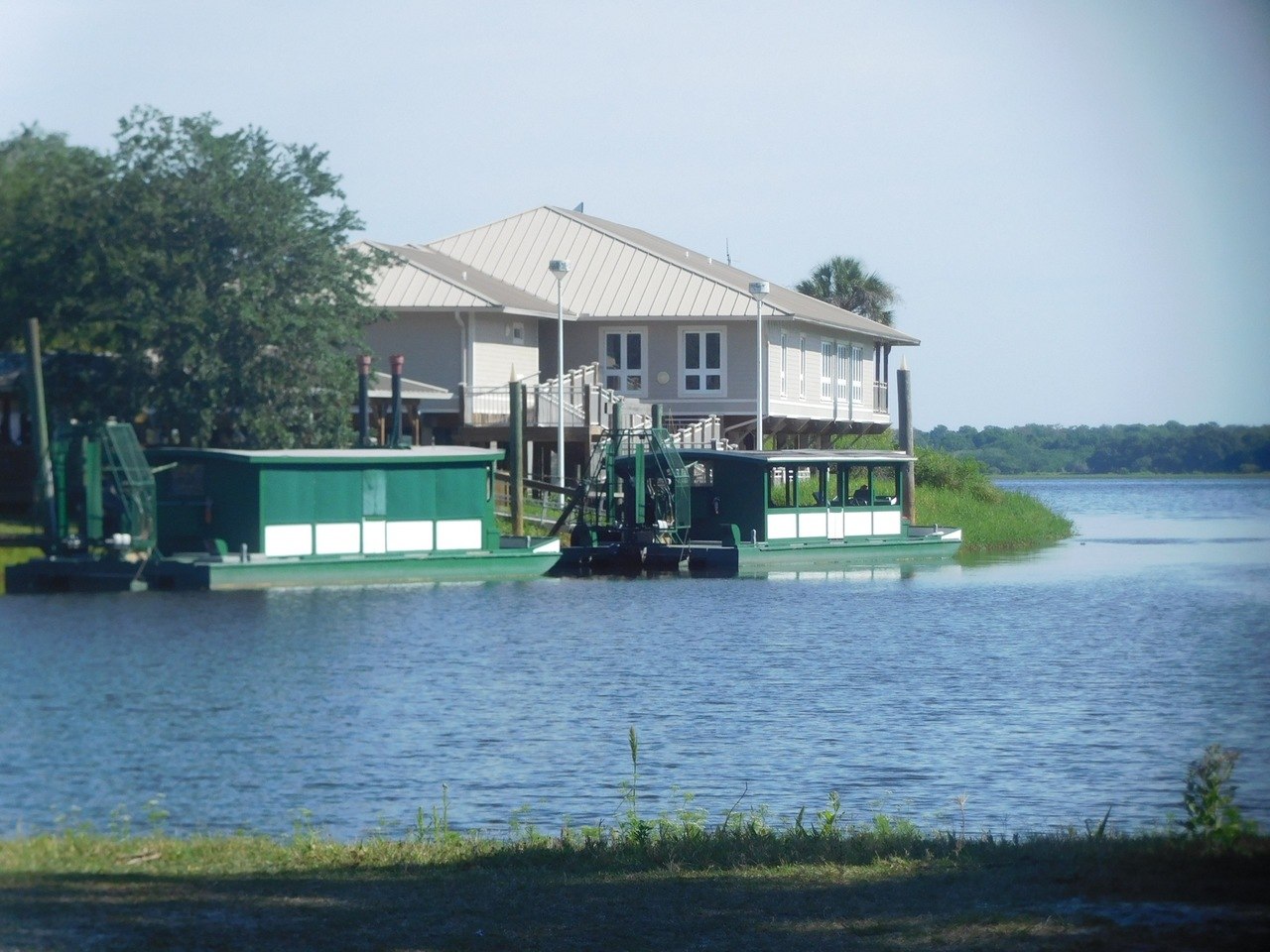 Myakka River State Park / Sarasota / Floride