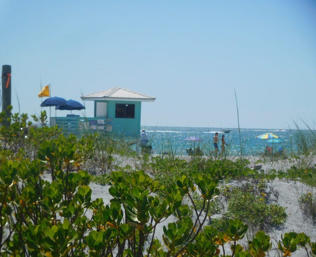 Plage de Venice / Floride