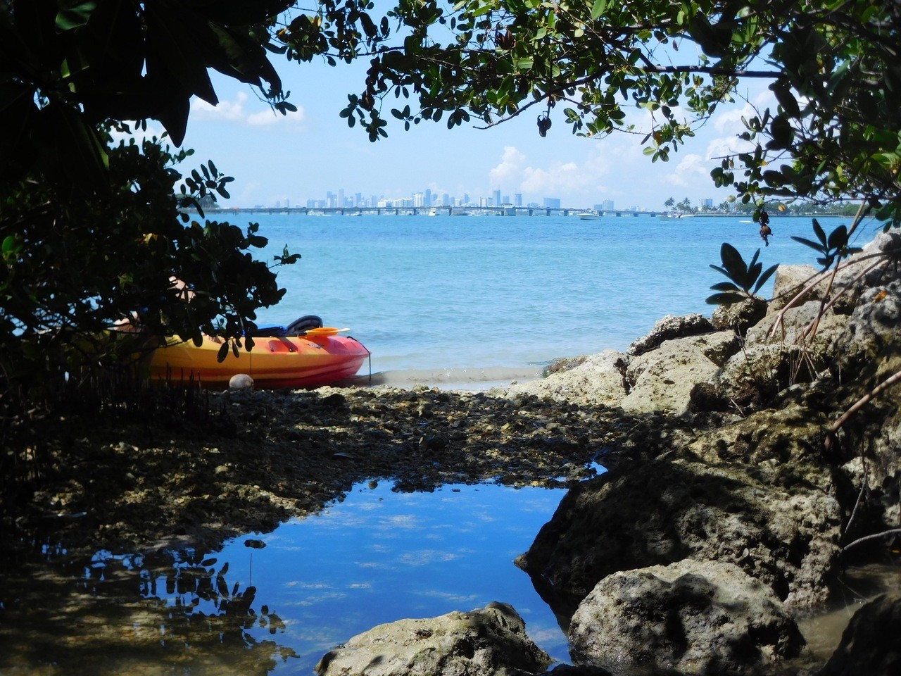 Mangrove à Sandspur Island et Skyline de MIami