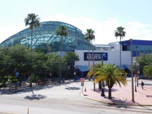 Florida Aquarium à Tampa / Floride