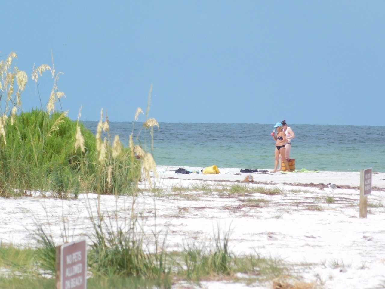 Caladesi Island, en Floride
