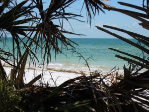 Caladesi Island, en Floride