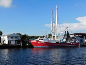 Port de Tarpon Springs en Floride