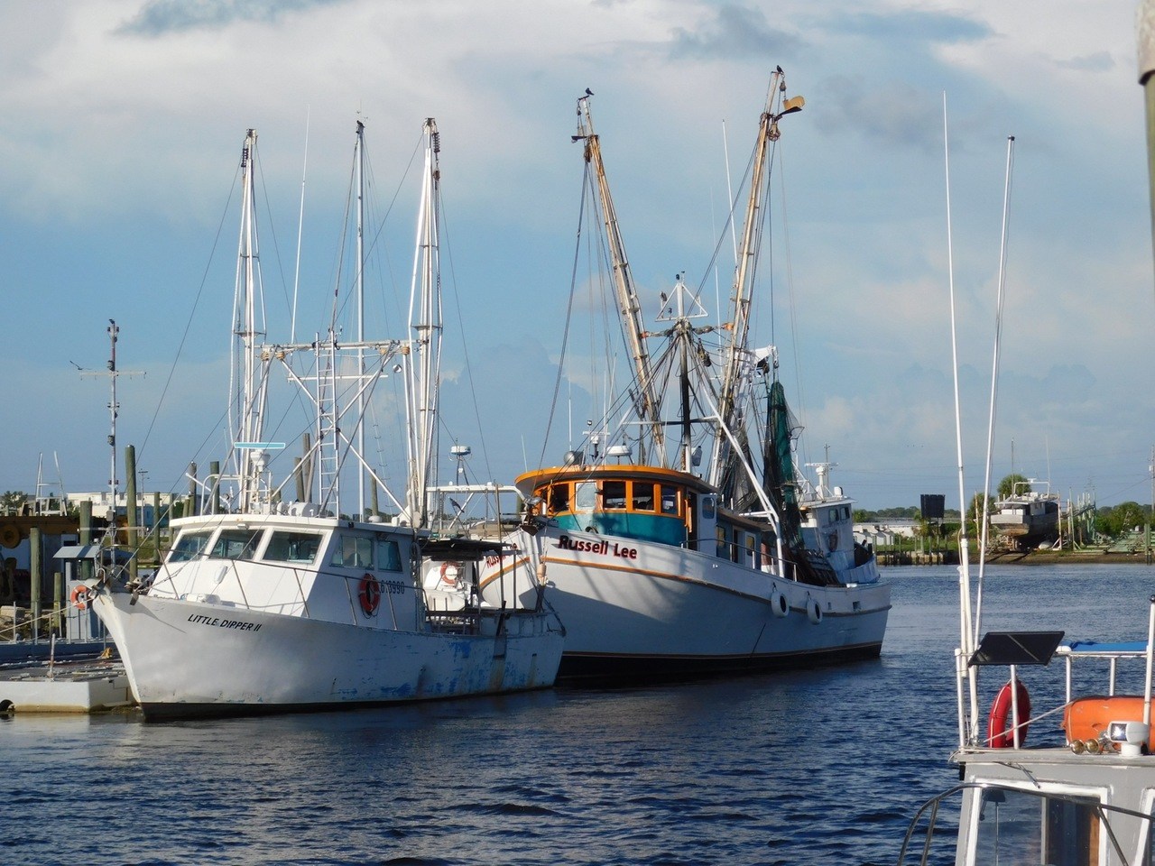 Port de Tarpon Springs en Floride