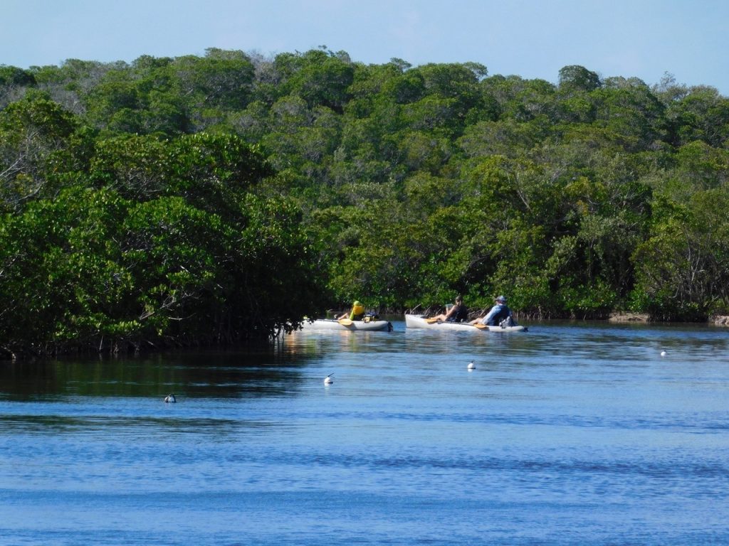 Kayak au John Pennekamp Coral Reef State Park / Key Largo / Floride