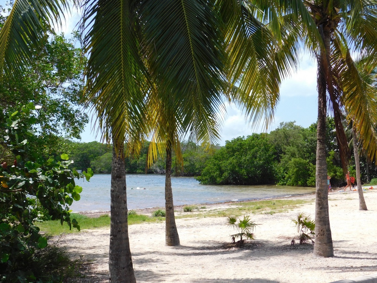 Plage de Far Beach au John Pennekamp Coral Reef State Park / Key Largo / Floride