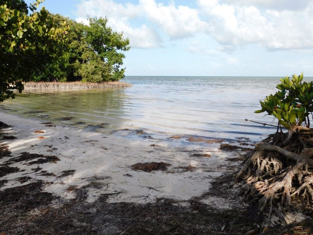 Anne's Beach, Islamorada, Floride