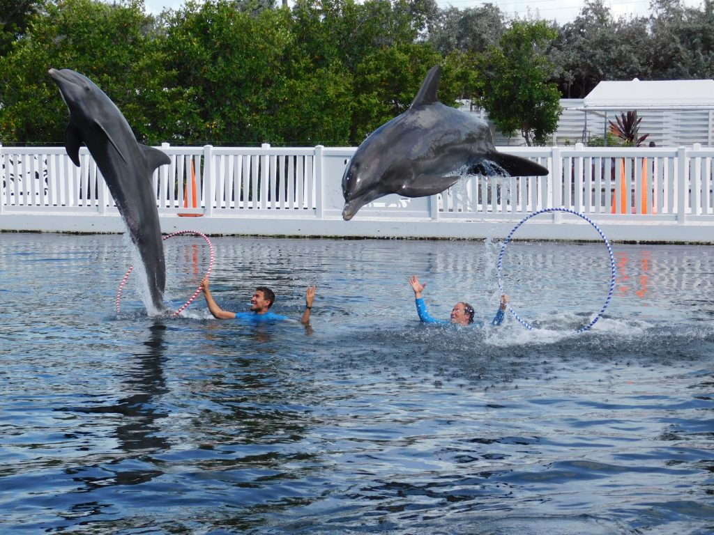 Theater of the Sea / Islamorada / Floride