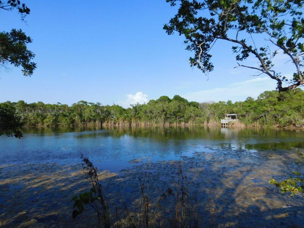 île de Big Pine Key / Floride
