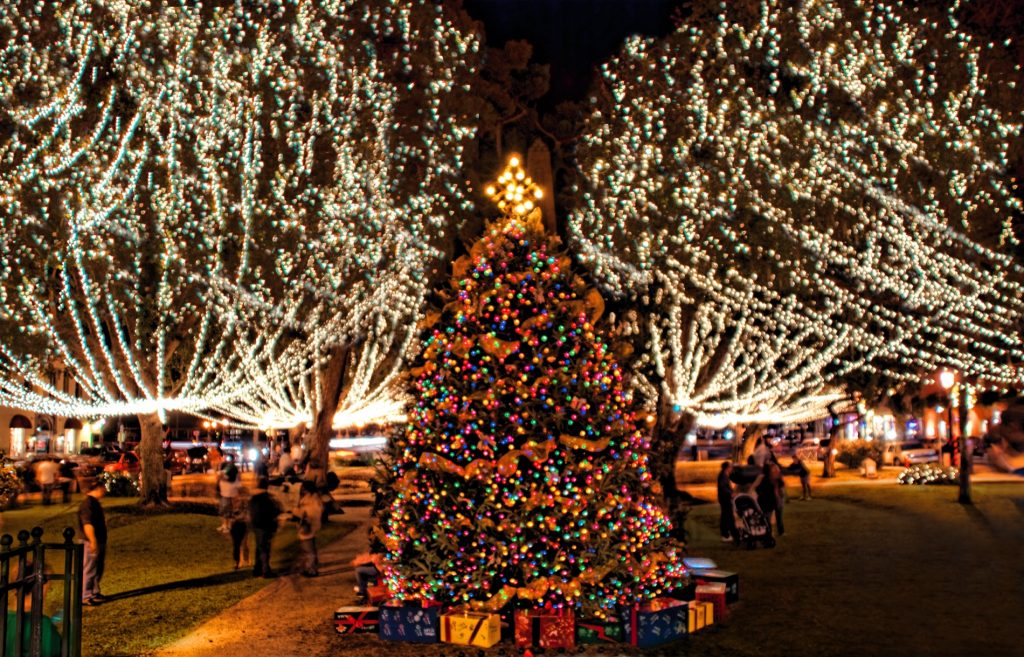 Un arbre de Noël magnifique est la pièce maîtresse de la « Plaza de la Constitucion » durant les Nuits de Lumières de St Augustine.