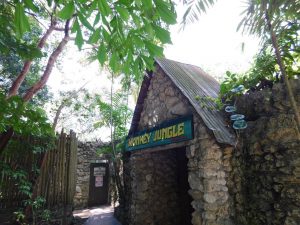 Monkey Jungle (à Homestead, au sud de Miami)