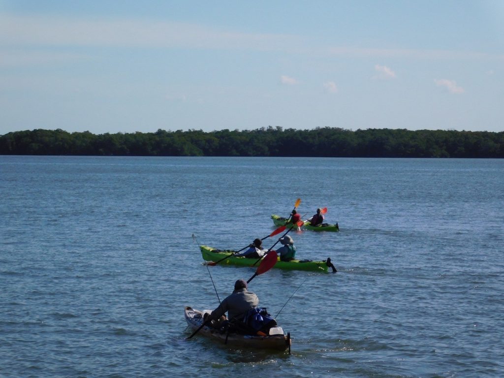 Les 10 000 Islands de Everglades, sur la côte ouest de la Floride.