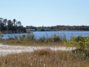 Fakahatchee : Janes Memorial Scenic Drive