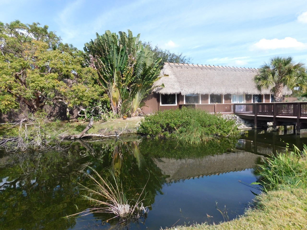 Maison Miccosukee le long de la TaMiami Road, au Fakahatchee indian village.