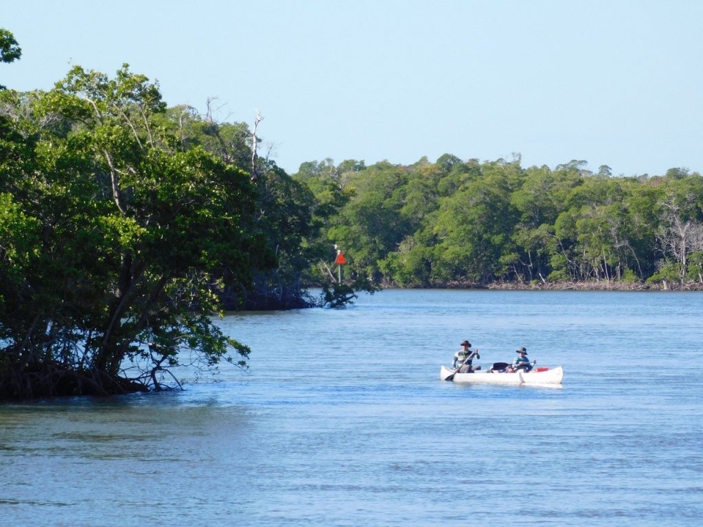 Les 10000 Islands des Everglades (Floride)