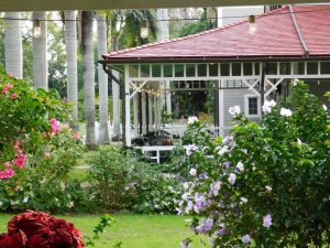 Edison & Ford Winter Estates (leurs maisons d'hiver à Fort Myers en Floride)